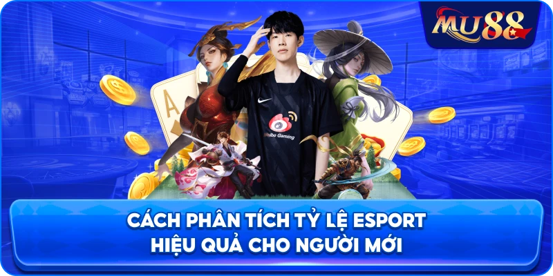Cách phân tích tỷ lệ Esport hiệu quả cho người mới
