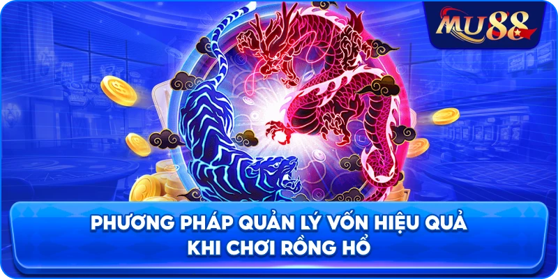 Phương pháp quản lý vốn hiệu quả khi chơi rồng hổ